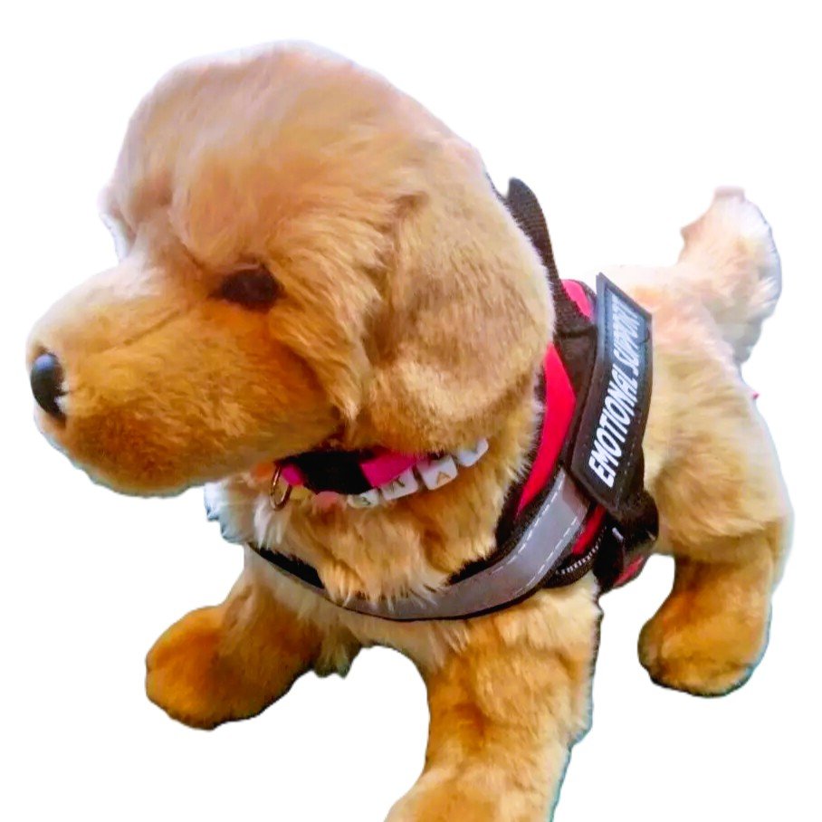 Douglas Dog, essa, emotional support stuffed animal, essa vest, douglas stuffed animal, anxiety, mental health