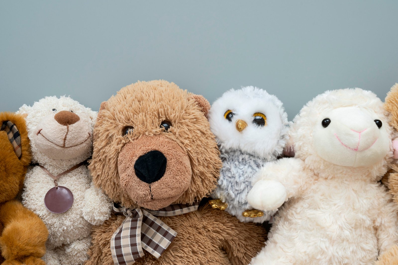 What Are E.S.S.A.s or Emotional Support Stuffed Animals?