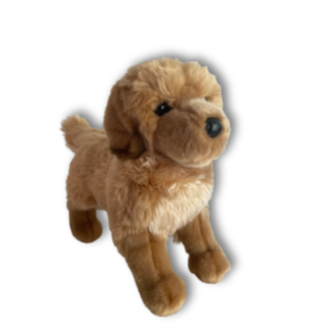 king golden retriever ~ douglas dog