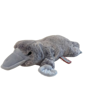 platypus ~ douglas dog and bass pro shop plush (copy)