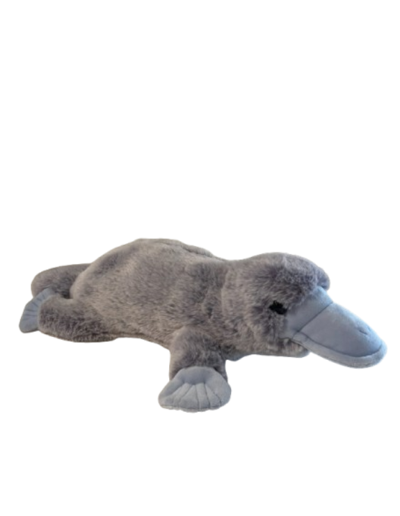 platypus ~ douglas dog and bass pro shop plush (copy)