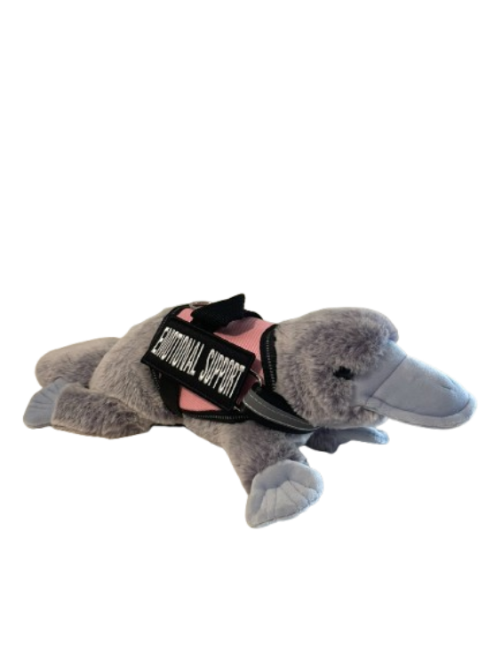 platypus ~ douglas dog and bass pro shop plush (copy)